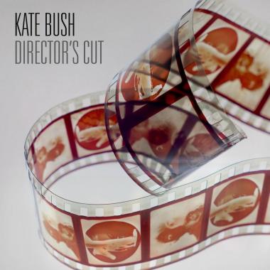 Kate Bush -  Director's Cut